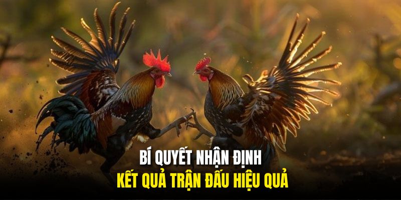 Bí quyết nhận định kết quả trận đấu hiệu quả