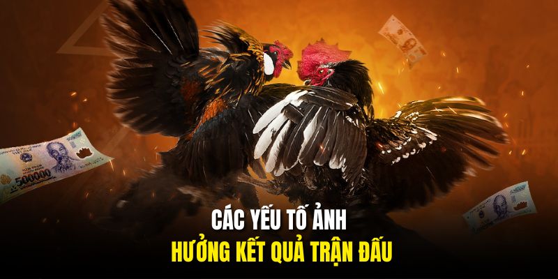 Các yếu tố ảnh hưởng kết quả trận đấu