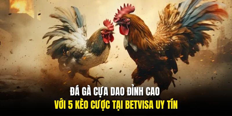 Đá Gà Cựa Dao Đỉnh Cao Với 5 Kèo Cược Tại BETVISA Uy Tín