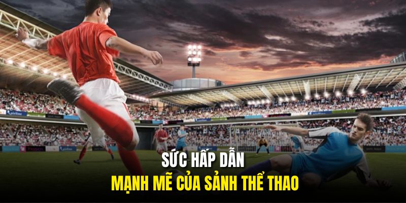 Sức hấp dẫn mạnh mẽ của sảnh thể thao